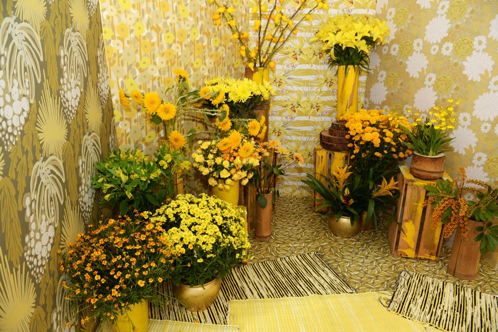 Coleção Capsula Botanic Bloom Gold