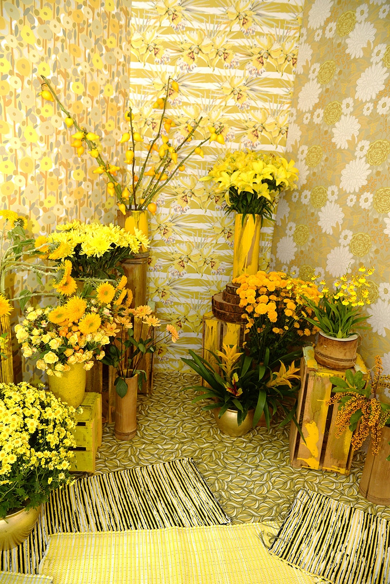 Coleção Capsula Botanic Bloom Gold