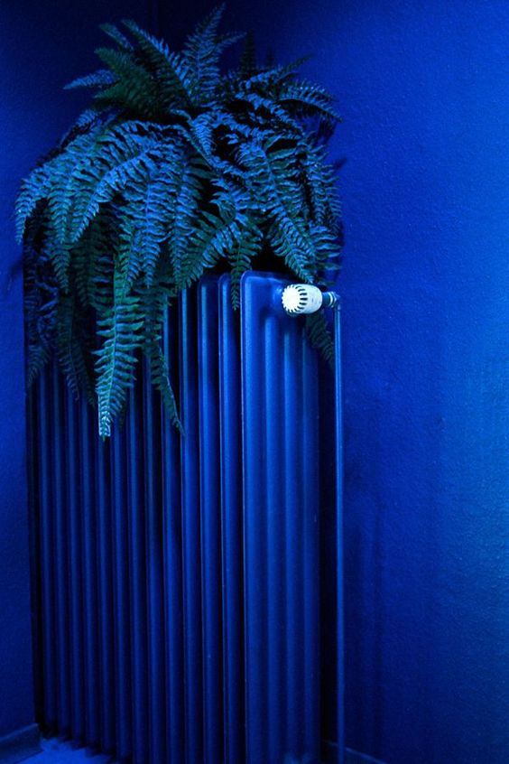 Inspiração Pantone Classic blue (Foto: Reprodução) Inspiração Pantone Classic blue (Foto: Reprodução)